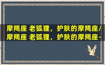 摩羯座 老狐狸，护肤的摩羯座/摩羯座 老狐狸，护肤的摩羯座-我的网站